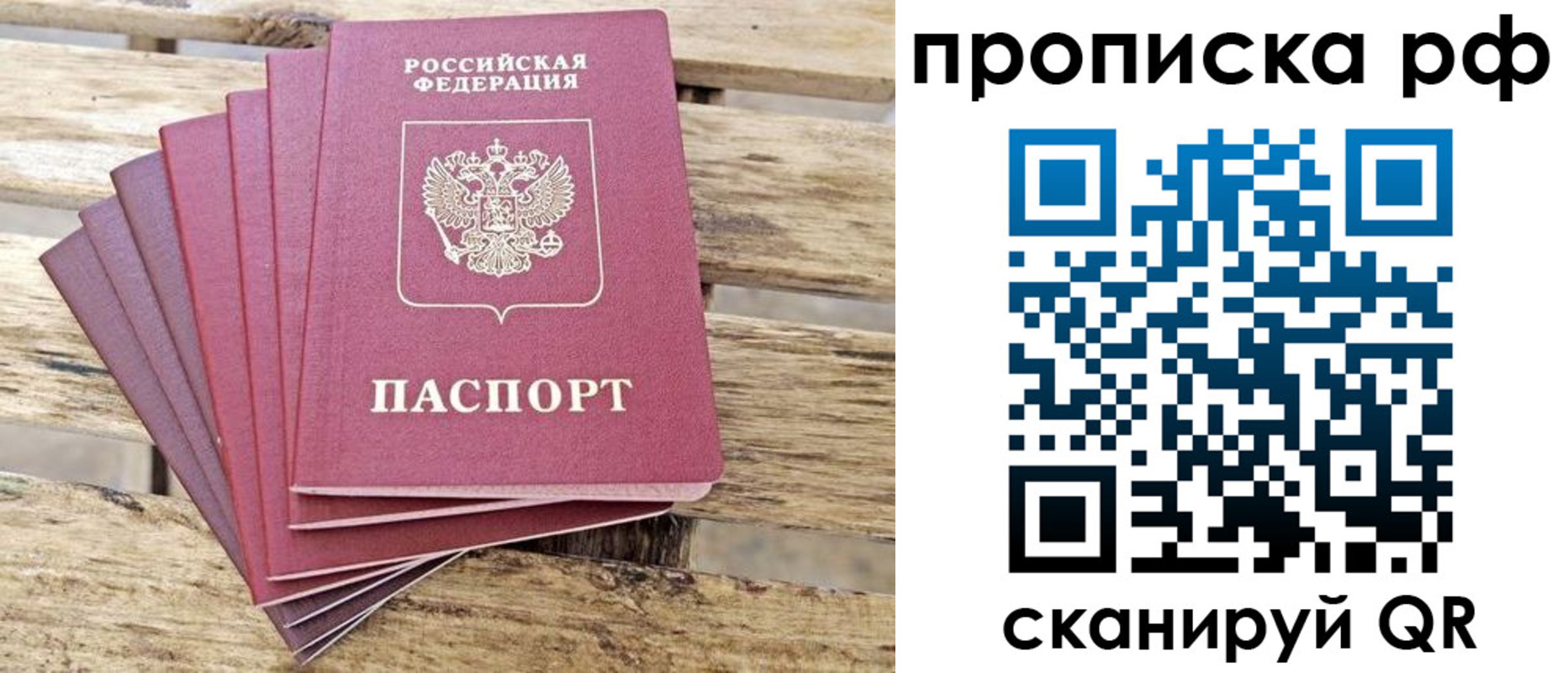 прописка гарантия в Звенигороде
